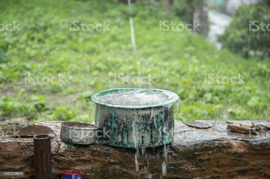 substainable rain water collection system